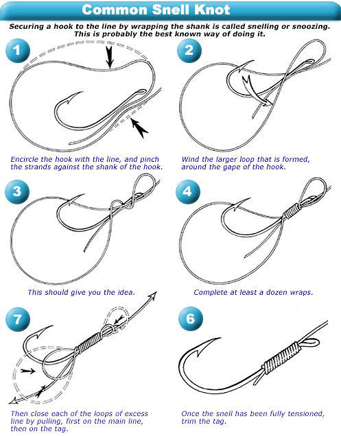 Article - How to tie a snell on a hook with an egg loop - Sandy River  Chapter of the Northwest Steelheaders